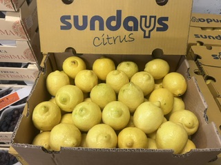 CITRON  + - 7 kg