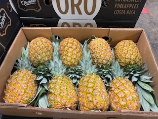 ANANAS X8   + -  12KG