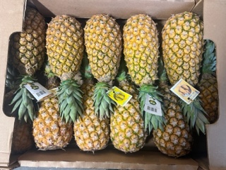 ANANAS PAIN DE SUCRE  + -  11 KG