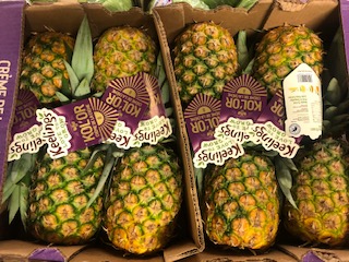 ANANAS X8   + -  12KG