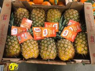 ANANAS X9   + -  12KG