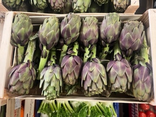 ARTICHAUT VIOLET + - 5  KGS