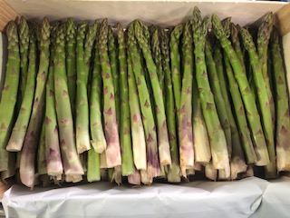 ASPERGE VERTE  + -  6 KG