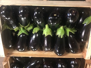 AUBERGINE 6 KG