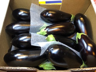 AUBERGINE 5 KG