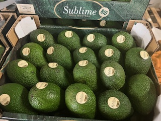 AVOCAT BIO X16