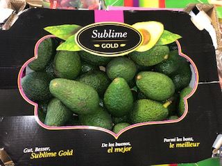 AVOCAT SUBLIME GOLD VALISE  6KG
