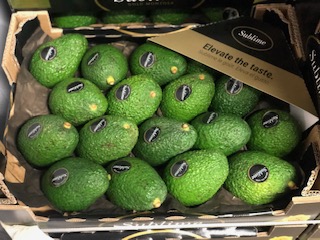 AVOCAT SUBLIME X18  PIECE