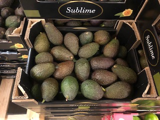 AVOCAT SUBLIME GOLD VALISE  6KG