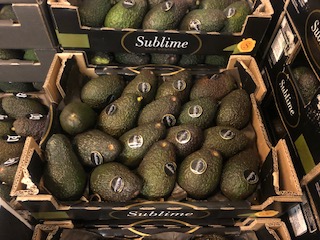 AVOCAT SUBLIME X18  PIECE