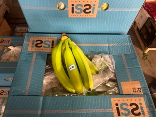 BANANE +-19 KG
