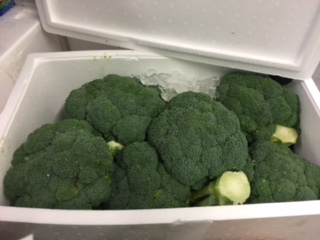 BROCOLI Chou  6KG