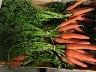 CAROTTE FANE x 12 PIECE