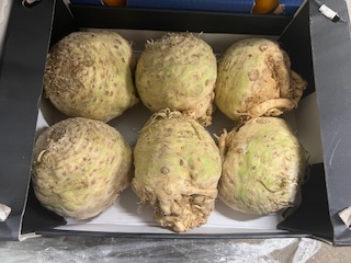 CELERI RAVE   + - 6 kg