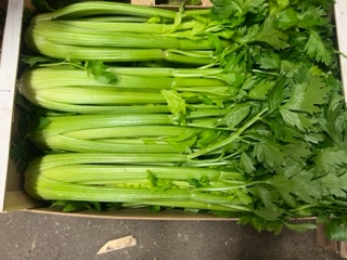CELERI BRANCHE  + - 10 kg