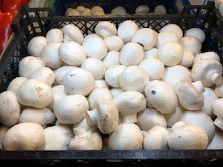 CHAMPIGNON MOYEN 3KG