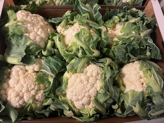 CHOU FLEUR  + -   10 KG