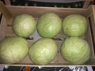 CHOU LISSE  + - 10 KG