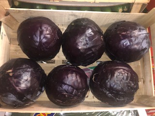 CHOU ROUGE  + -   10KG