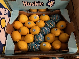 CITRON CAT 2 + - 6.5 KG