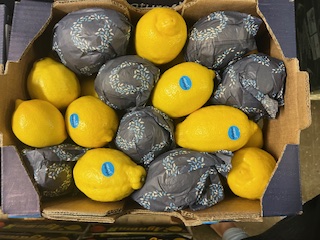 CITRON JAUNE + - 7.5  KGS