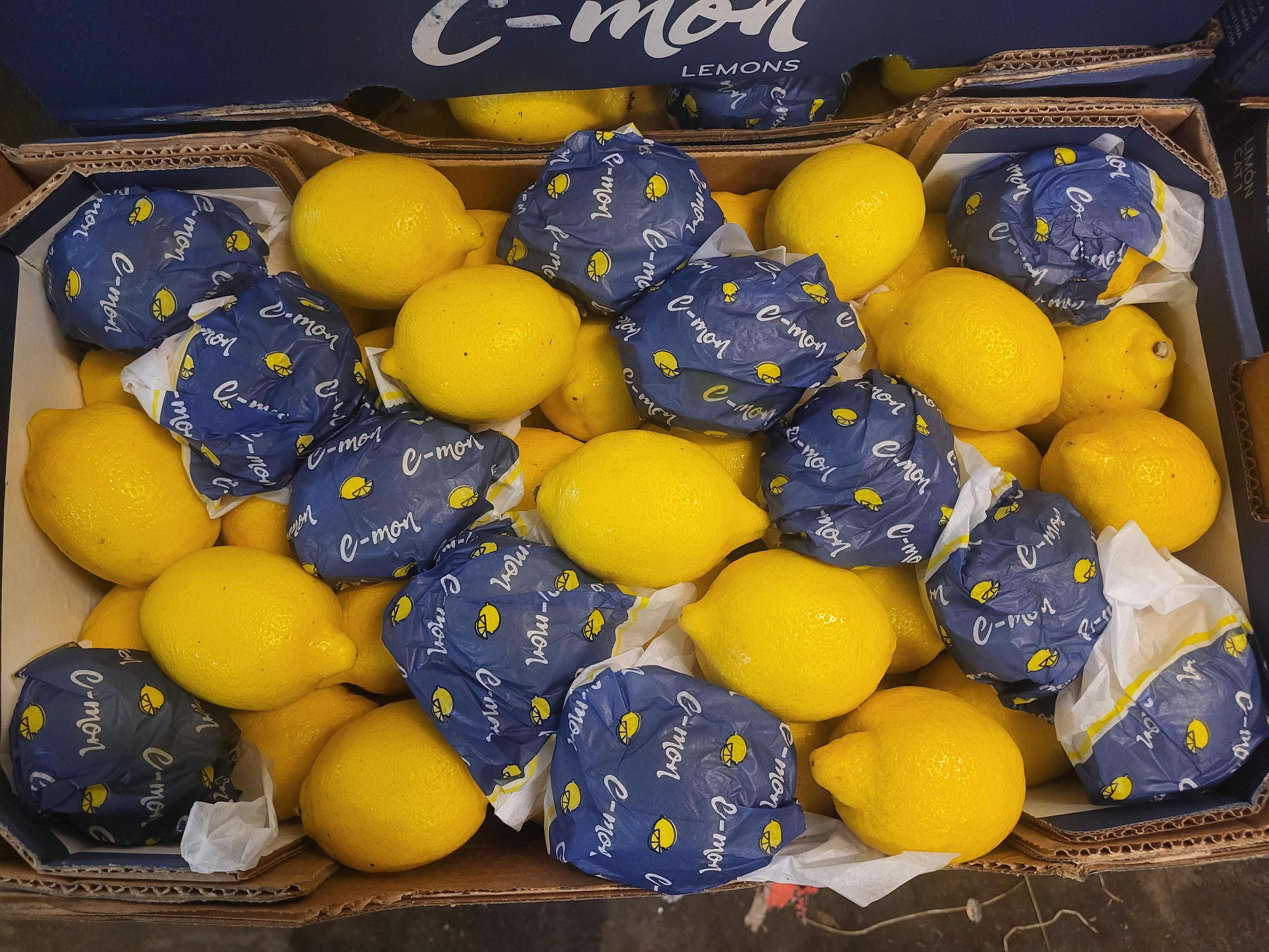 CITRON ARGENTINE  x 11  kg