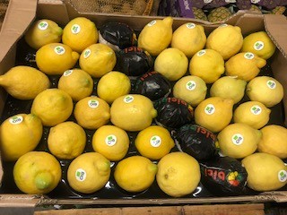 CITRON BIO  + -  8 KG