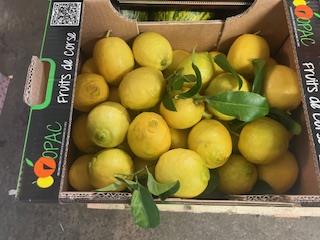 CITRON FEUILLE   + - 6 KG