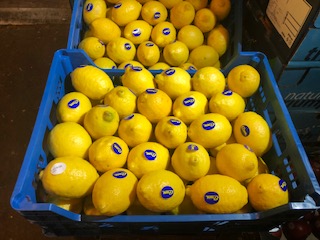 CITRON JAUNE + - 6  KGS
