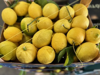 CITRON FEUILLE CAT1 +- 10 KG