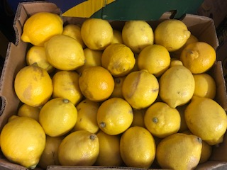 CITRON ARGENTINE  x 18  kg
