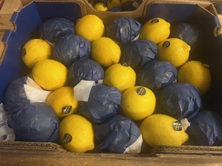 CITRON ARGENTINE  x 6.5  kg