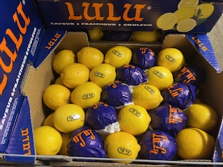 CITRON LULU  + - 6 KG