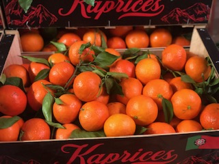 CLEM FEUILLE  X je p kG