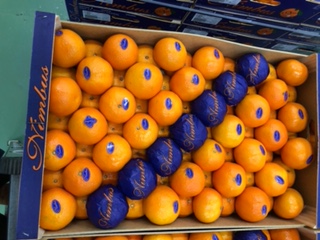 *CLEM  nimbus CAL 1/70   + - 8 kg