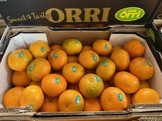 CLEM ORRI 1xx  +- 7kg