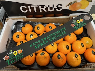 *CLEM ORRI 1x  + - 6 KG