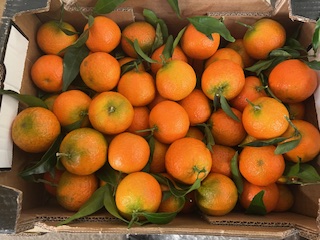 CLEMENTINE CORSE  CAL 2 + - 6 KG