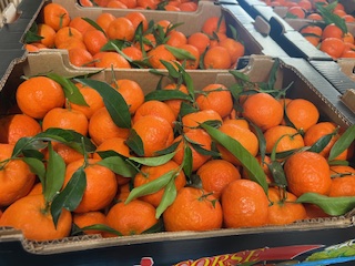 *CLEMENTINE CORSE  CAL 2/3 + - 10 KG