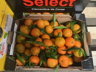 CLEMENTINE CORSE  CAL 2/3 + - 6 KG
