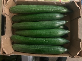 CONCOMBRE RELISSON x12 PIECE