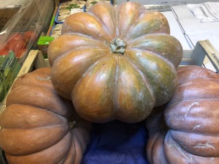 COURGE +- 7 KG