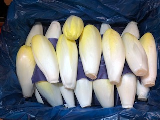 ENDIVE  5KG