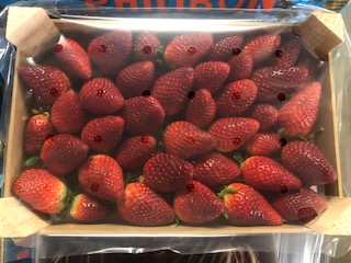 FRAISE 1.KG