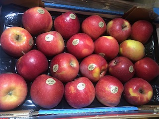 POMME FUJI PLATEAU +- 3.8 KG