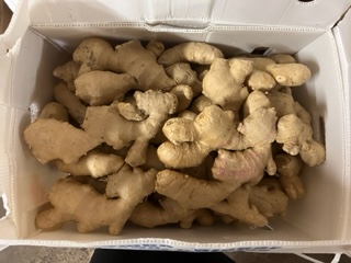 GINGEMBRE 13.5 KG