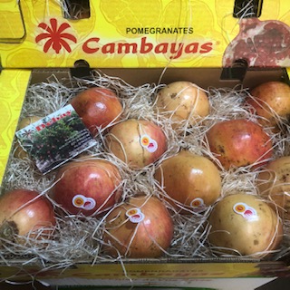 GRENADE X12 + -  5 KG