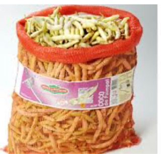 HARICOT PAIMPOLAIS 8 KG