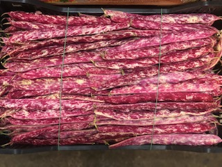 HARICOT ROUGE + - 7 KG