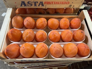 KAKI BRILLANT   + - 4.6 KG